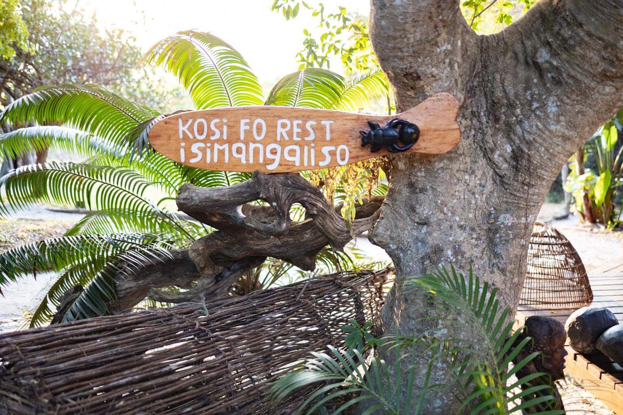 Kosi Forest Lodge Manguzi Exterior photo